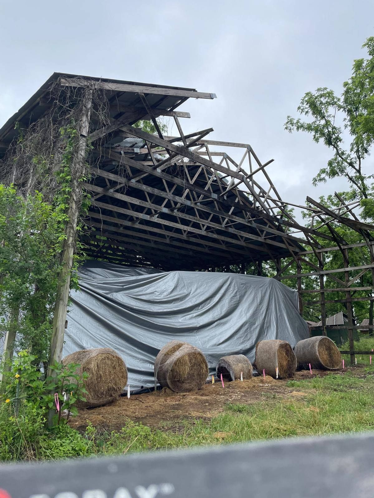 Barn with damaged roof, covered by a tarp, hay bales in front.